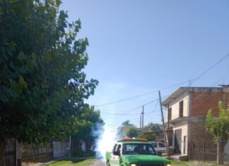 Esteban Echeverría: continúan las tareas de fumigación en el distrito