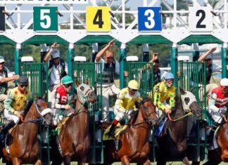 Denuncian a Axel Kicillof por «desviar fondos» destinados a la actividad hípica