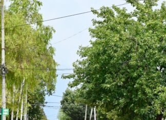 Esteban Echeverría: en lo que va del 2025, detuvieron a 174 personas, se secuestraron 55 vehículos y se recuperaron 32 por diversos delitos