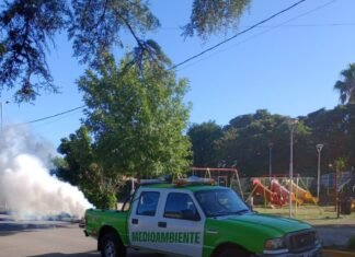 Continúan las tareas de fumigación en Echeverría
