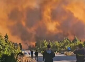 El Gobierno nacional incluirá en Sesiones Extraordinarias un proyecto para agravar la pena a quienes provoquen incendios