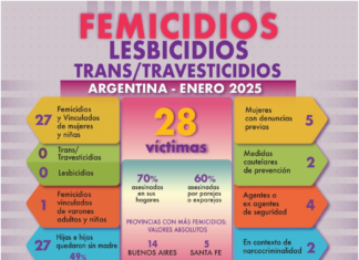 En lo que va del 2025: en Argentina en un mes 28 víctimas violencia de género
