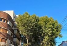 La térmica llegó a los 38 grados en la Región: cuándo habrá un alivio