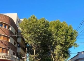 La térmica llegó a los 38 grados en la Región: cuándo habrá un alivio