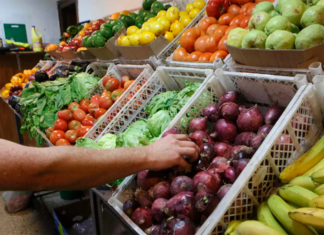 Del campo a la góndola, los precios de los agroalimentos se multiplicaron por 3,8 veces en enero