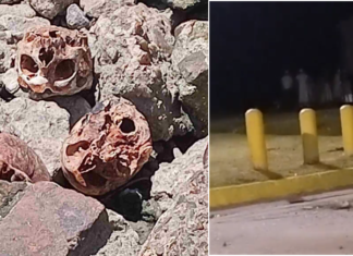 Cráneos humanos en la costa de Quilmes: investigan prácticas religiosas en el lugar