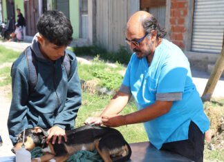 El Municipio de Echeverría realizó un nuevo operativo de vacunación antirrábica