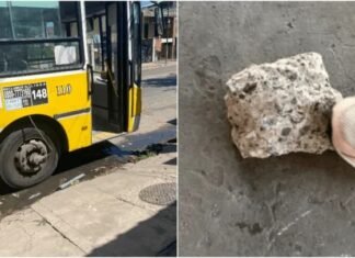 Bernal: ataque con adoquín a un colectivo deja a una niña de tres años en estado crítico