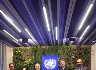 Fernando Gray se reunió con representantes del programa de Naciones Unidas para el Desarrollo