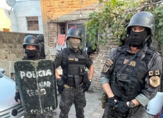 Después de dos año prófugo, detienen en Temperley al delincuente que asesinó a una jubilada en Luis Guillón