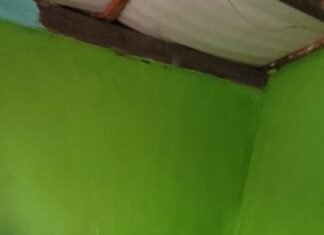 Lomas de Zamora: detuvieron a quien había atropellado y matado a una jubilada