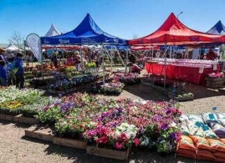 Este domingo vuelve la Feria de Productores Rurales a la Granja Educativa Municipal de Brown