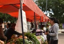 Guernica: inició con éxito la Primera Feria Soberana 2025