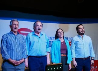 Alfonsín lanzó la candidatura a diputado nacional