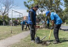 Con trabajos de forestación, el Municipio de Brown puso en valor una plaza en el barrio «La Esther» de Claypole
