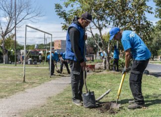 Con trabajos de forestación, el Municipio de Brown puso en valor una plaza en el barrio «La Esther» de Claypole