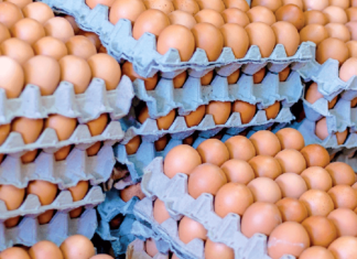 “Los argentinos desconocen el origen de los huevos que consumen”, advierte una ONG