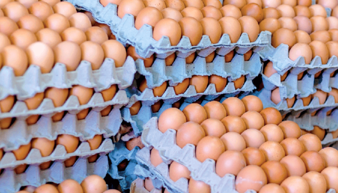 huevos-infocampo