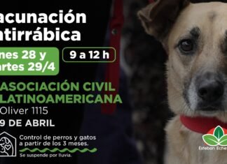 Echeverría: en el marco del Día del Animal, nuevos operativos gratuitos de vacunación antirrábica