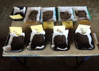 INTA: Procesan muestras de suelo para analizar su calidad