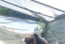 INTA: fortalecimiento de espacios de producción comunitaria