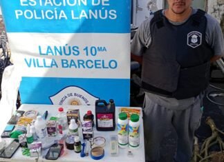 Allanamiento en Lanús: un aprehendido por cultivo de sustancias estupefacientes