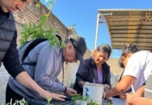 INTA inició un curso de capacitación en huerta agroecológica en Presidente Perón
