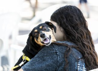 Zoonosis Brown conmemora el «Día del Animal» anunciando una nueva campaña de castraciones masivas