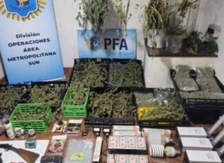Operativo antidrogas en Ministro Rivadavia y Monte Grande: dos detenidos y más de 16 kilos de marihuana incautados