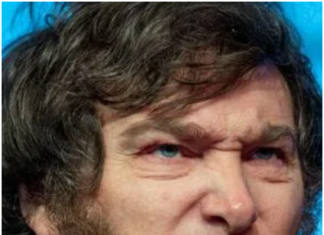 El Gobierno Nacional salió a condenar el rechazo del proyecto «Ficha Limpia» en el Senado