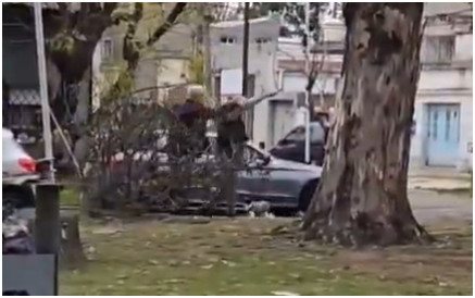 Captura de pantalla 2025-05-26 112320