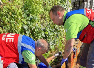 Enfrentamiento armado en Quilmes: un motochorro herido tras intentar asaltar a un oficial de la PNA