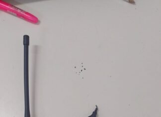 Atrapan a dos mujeres en Lanús cuando intentaban robar un auto con inhibidores