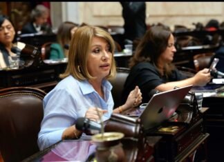 Mónica Litza: «Los intendentes reclaman mayor poder en el armado de listas, son quienes juntan los votos»