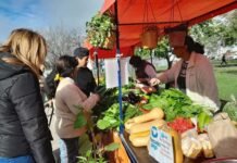 Exitosa tercera edición de la Feria Soberana en Guernica