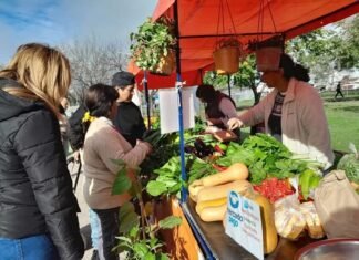 Exitosa tercera edición de la Feria Soberana en Guernica