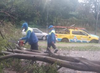 Los equipos del Municipio de Brown trabajan en barrios y localidades frente a la tormenta en el AMBA