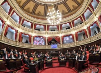 Prohibieron periodistas en la sesión: senadores bonaerenses libertarios denuncian «restricción a la libertad de prensa y transparencia legislativa»