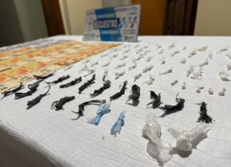 El Jagüel: detienen a una persona por tenencia y comercialización de drogas