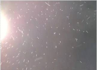 ¿Nieve en el Conurbano? Ezeiza podría recibir copos este lunes