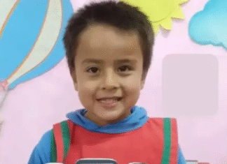 La postmemoria: Loan y la deuda de una sociedad que busca respuestas