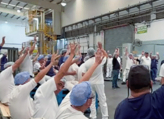 Molinos Río de la Plata: denuncian despidos, incumplimiento de la conciliación obligatoria y presión por rebaja salarial