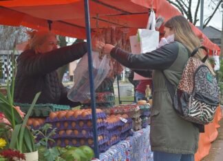 Guernica: La Feria Soberana avanza a buen ritmo