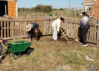 Impulsan una huerta comunitaria agroecológica en Esteban Echeverría con talleres abiertos a la comunidad