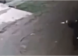 Una casa marcada por la violencia: ofensiva narco en Esteban Echeverría