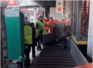 Intercargo echó a dos maleteros por maltrato de equipaje en Aeroparque