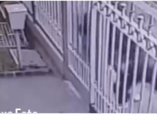 Lanús: intentan entrar a robar una casa y escapan tras ser sorprendidos por la dueña