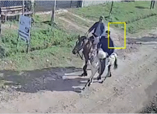 Caen «cabachorros» en Florencio Varela