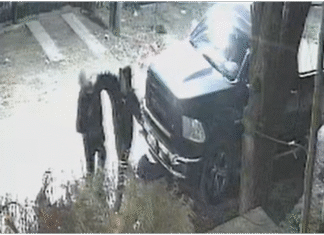 Glew: custodio de L-Gante frustró asalto con un golpe certero