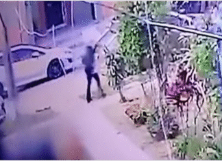 Lomas de Zamora: sujeto siguió a una mujer hasta su casa con la intención de manosearla